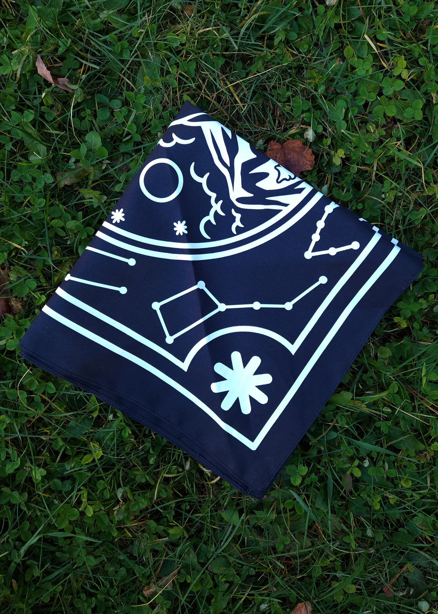 Mountaineer Bandana