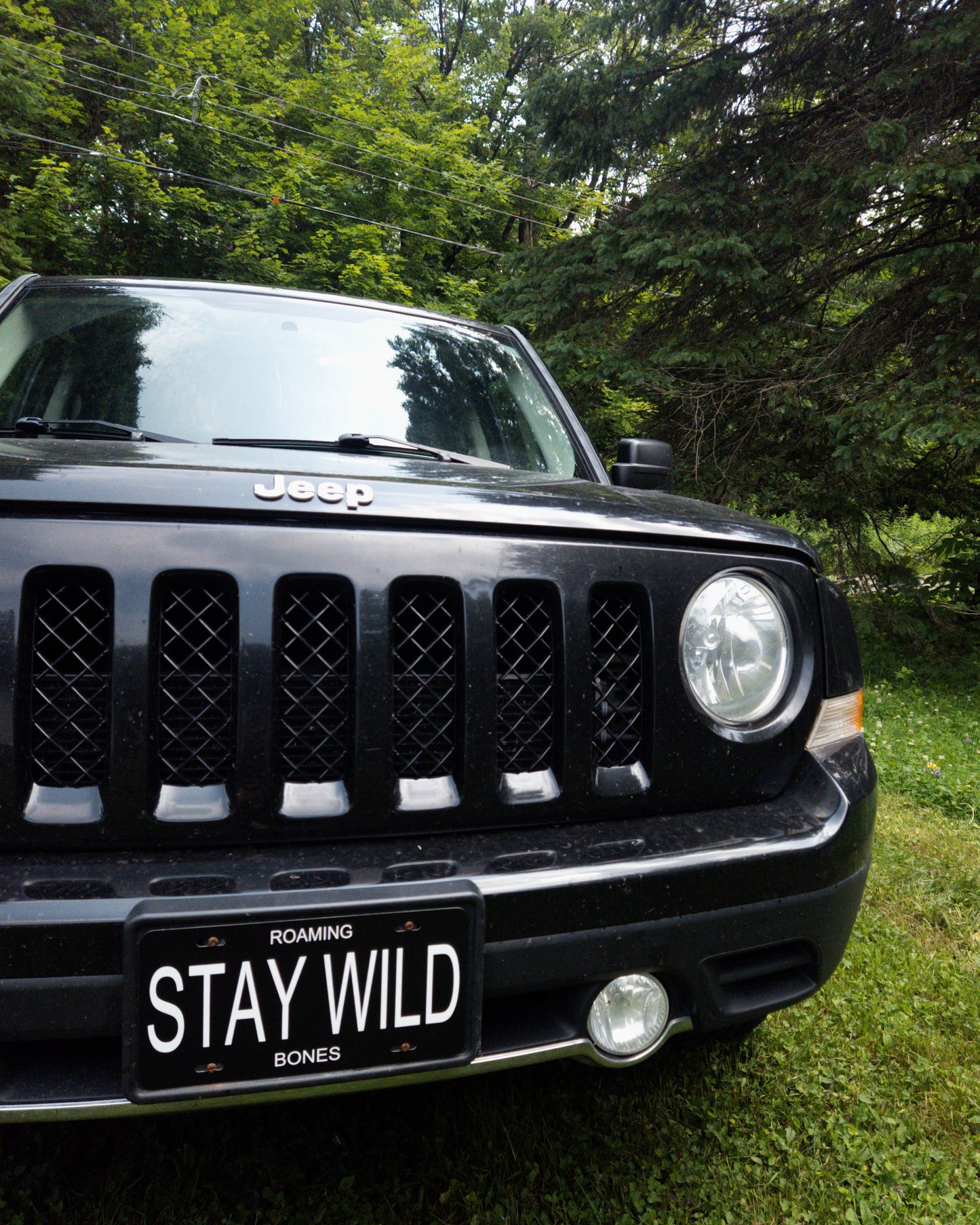 Stay Wild Car Plate