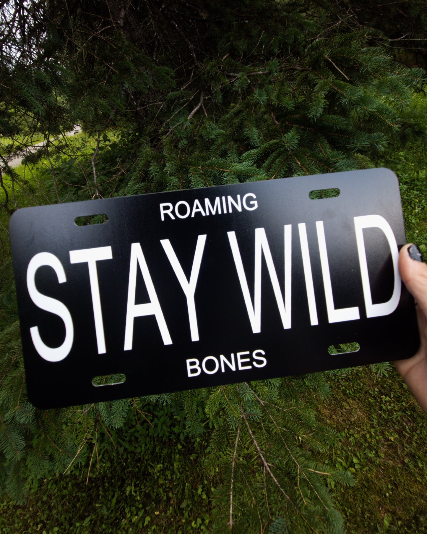 Stay Wild Car Plate